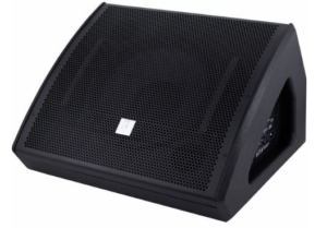 12 Zoll Monitorlautsprecher